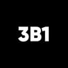 3B1 Agency