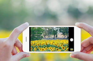 iPhone Photography Tips/Tricks That Will Significantly Improve Your Photos
